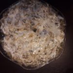 yogurtlu patlican salatasi